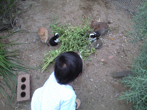 d0129922_8311251.jpg
