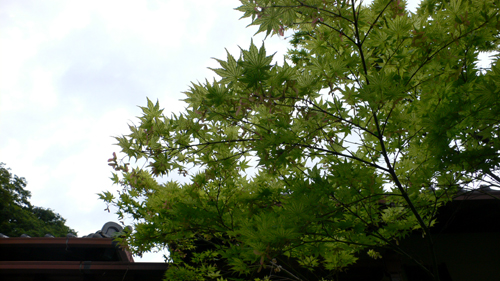 f0060424_23145539.jpg