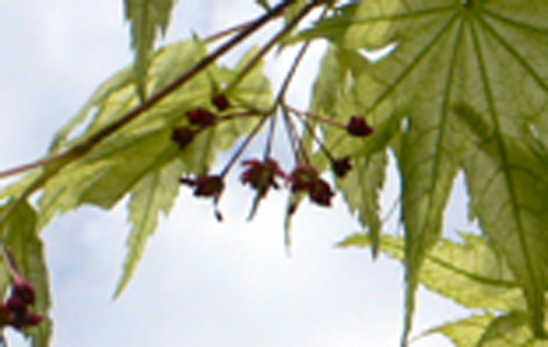 f0060424_2337195.jpg