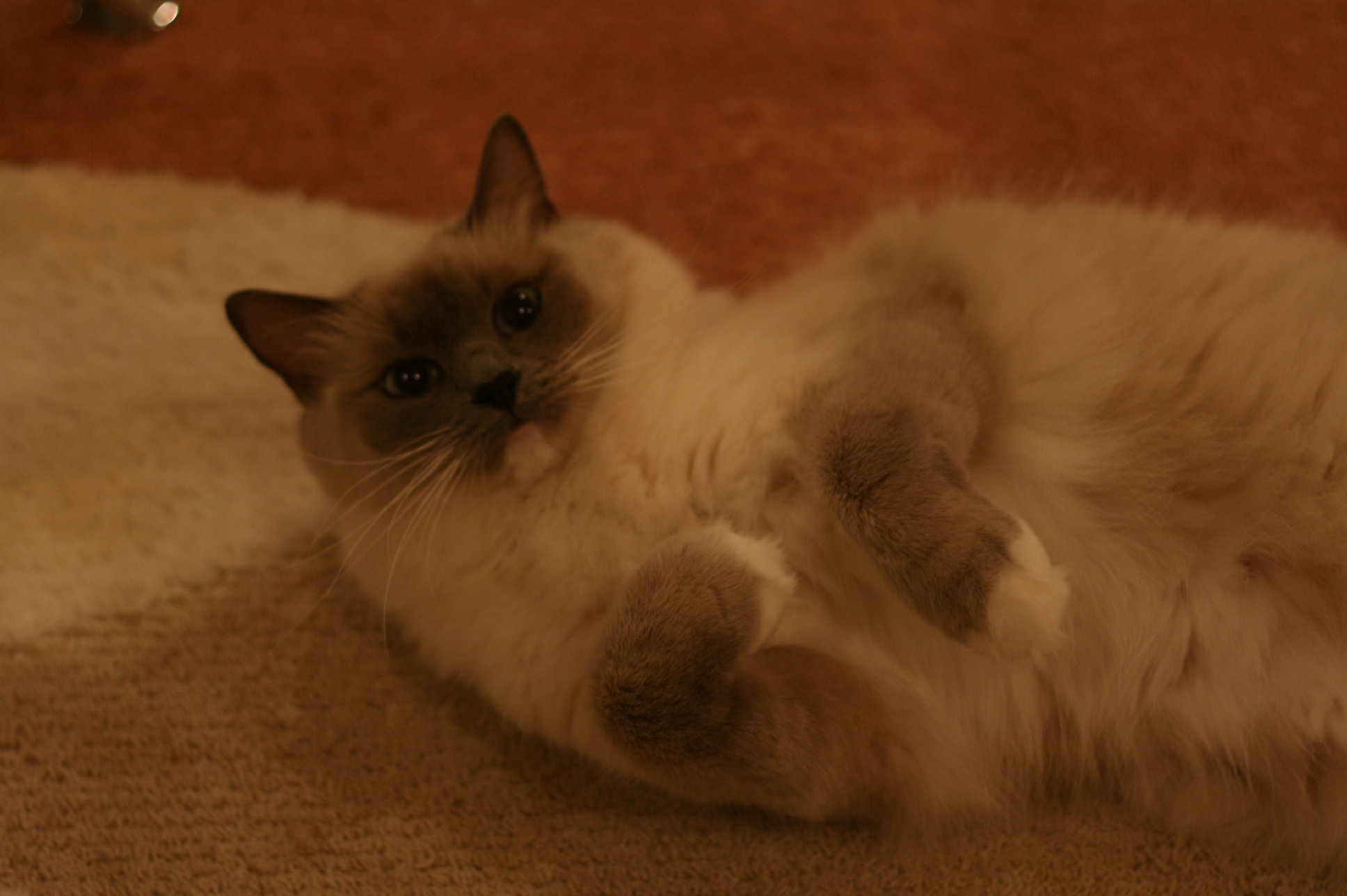f0153125_0253158.jpg