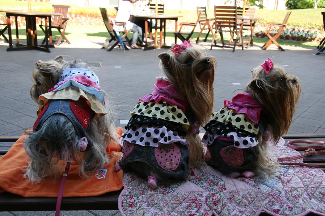 f0124830_16392894.jpg