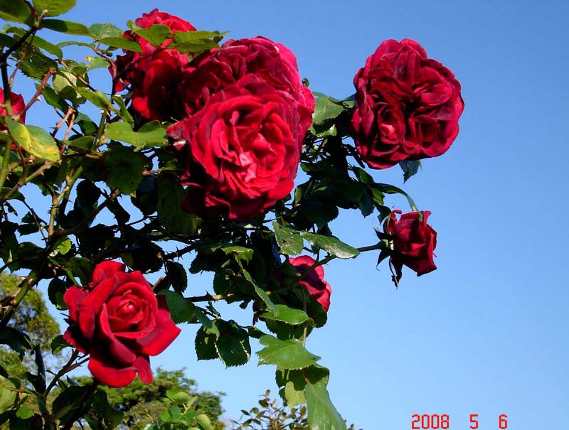 b0012636_11243681.jpg