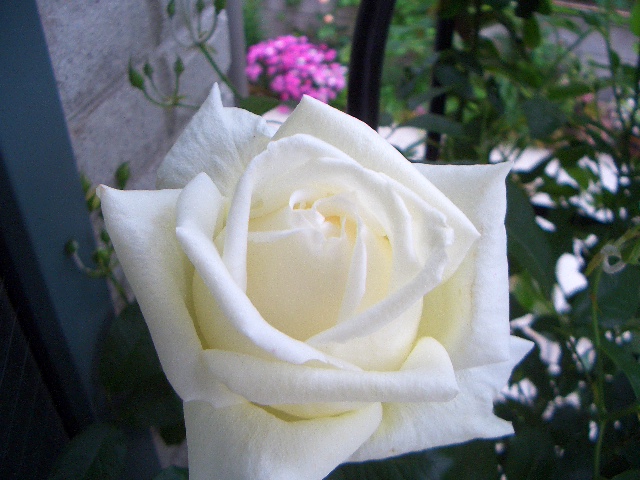 c0146637_1904681.jpg