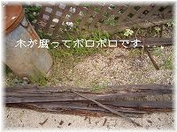 b0074640_14145928.jpg