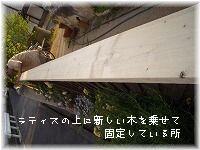 b0074640_14171578.jpg