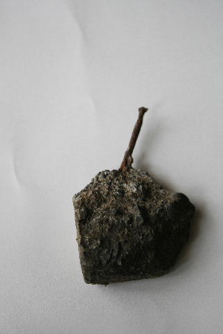 f0082141_0364422.jpg