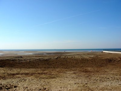 a0072247_2326528.jpg