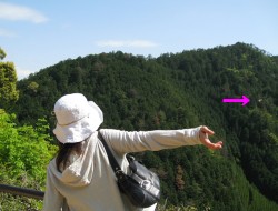 c0148548_121730.jpg