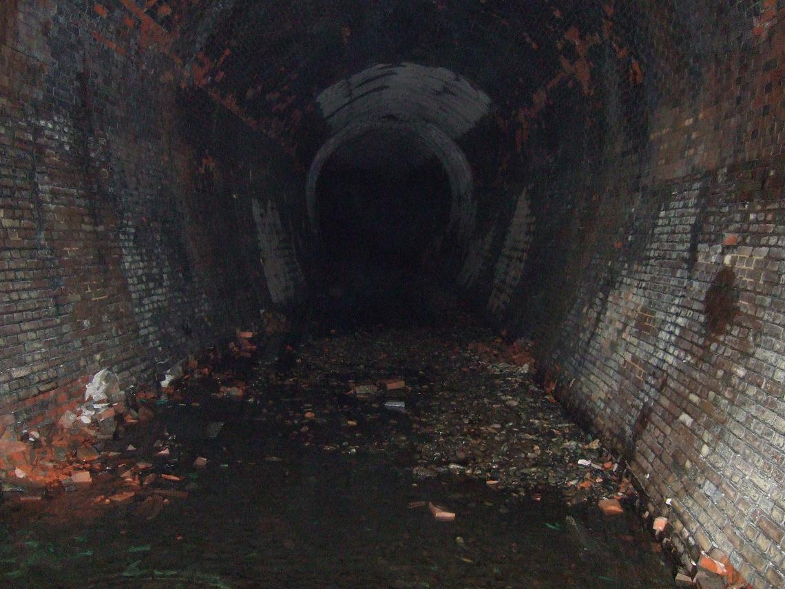 f0101049_115363.jpg
