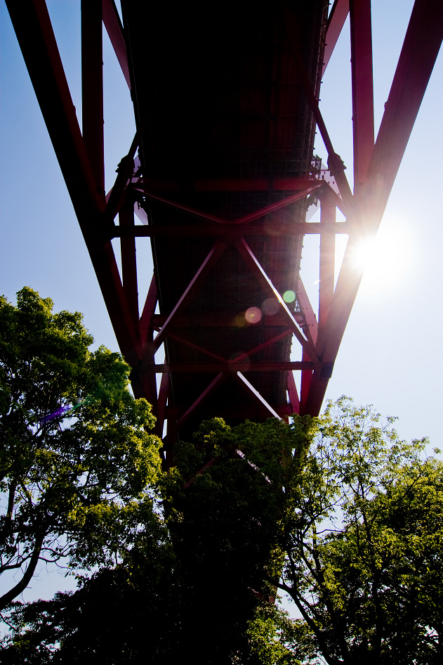 d0141053_22502053.jpg