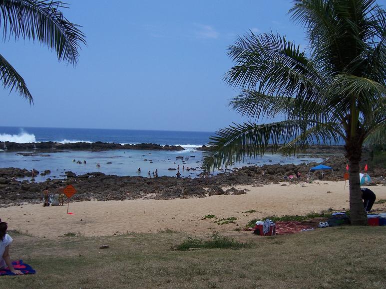 d0095857_23112313.jpg