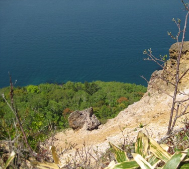 f0098562_8321865.jpg