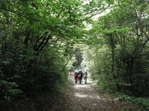 c0042869_21182150.jpg