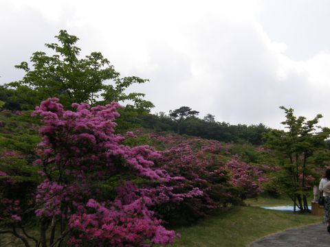 c0042869_2118654.jpg