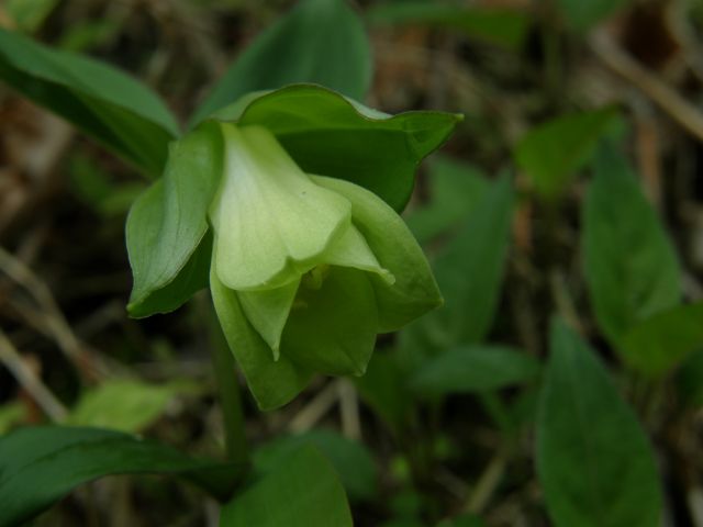 c0042869_21205942.jpg