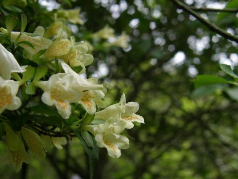 c0042869_21241641.jpg