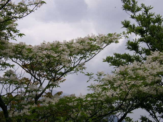 c0042869_21244612.jpg