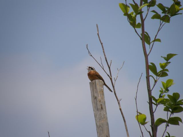 c0042869_2128624.jpg