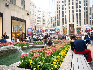 b0131774_11134414.jpg
