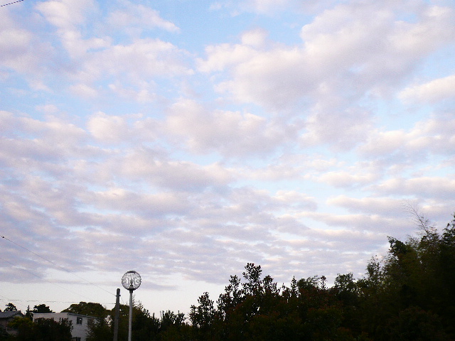 d0147774_23404859.jpg