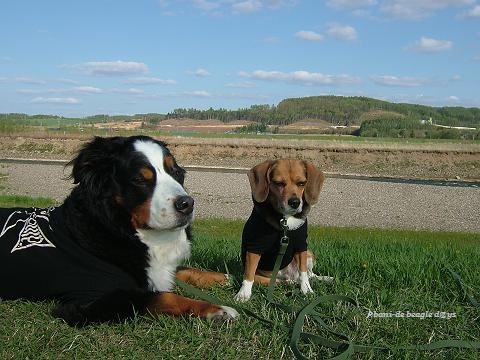 f0150377_17541.jpg
