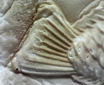 d0056881_20292229.jpg