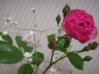 f0167681_15193464.jpg