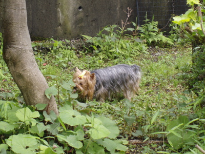 f0130894_205747.jpg