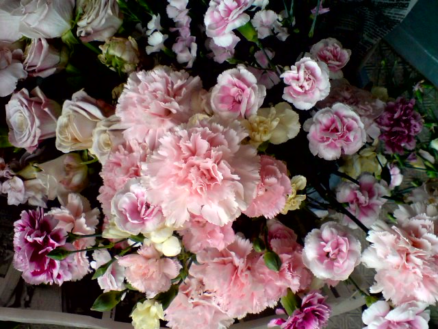 c0131195_217969.jpg