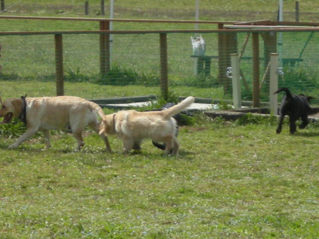 e0130299_0493045.jpg