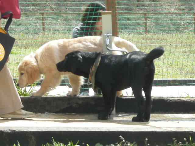e0130299_0495544.jpg