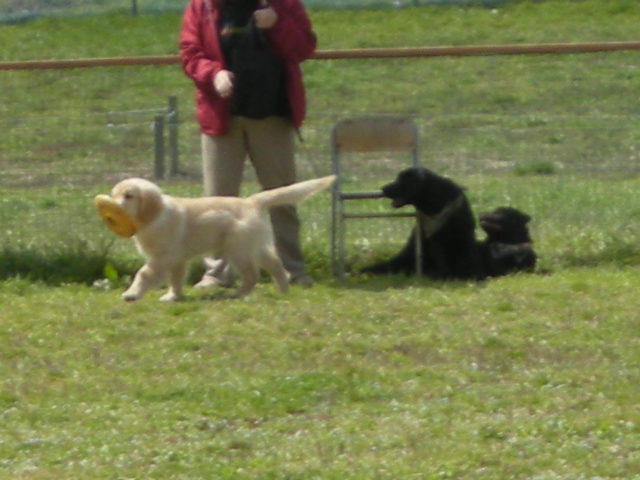 e0130299_0513828.jpg
