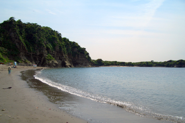 b0000608_19544760.jpg