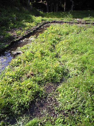 f0135908_20551337.jpg