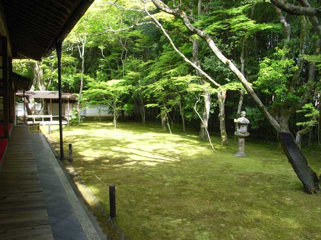 e0049318_17414614.jpg