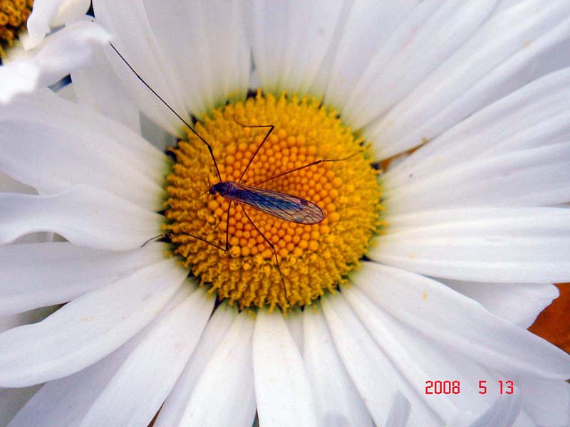 b0012636_11354850.jpg
