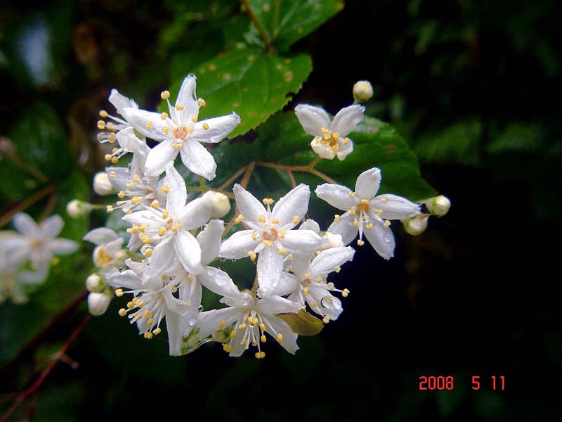 b0012636_11574038.jpg