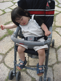 f0047439_15192860.gif