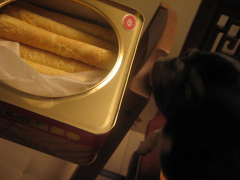 e0018143_355090.jpg