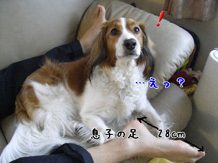 d0013149_8281887.jpg