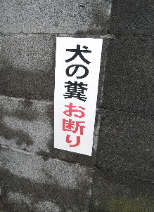 d0013149_98546.jpg