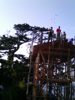 f0006650_1130369.jpg