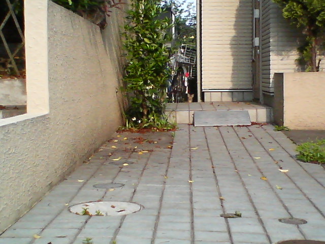 d0124952_2236018.jpg