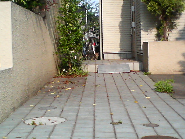 d0124952_2236144.jpg