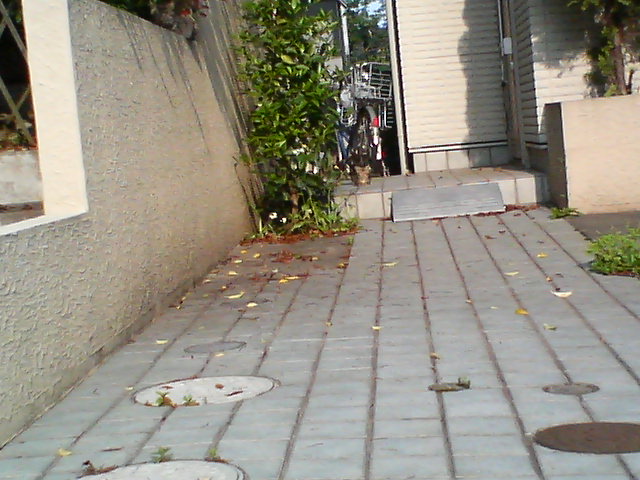 d0124952_22362919.jpg