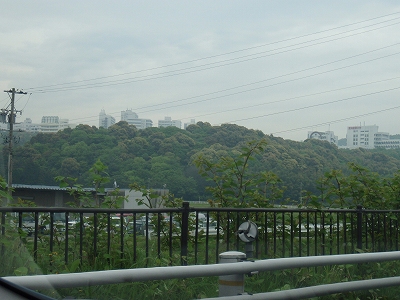 f0056153_1032046.jpg