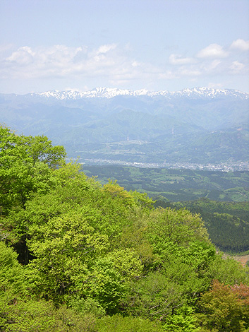 a0001354_19365740.jpg