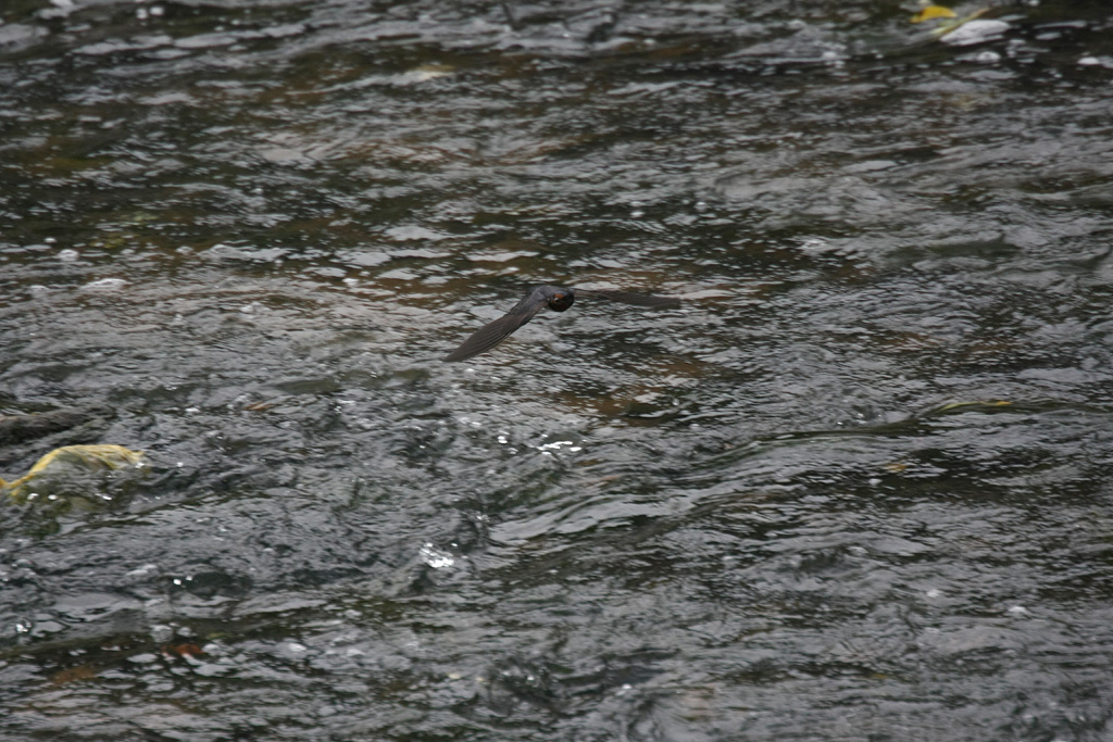 d0148060_19225173.jpg