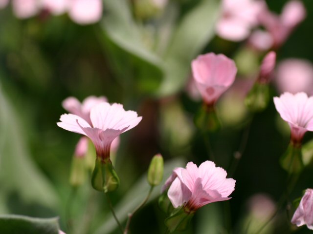 d0054461_22194424.jpg