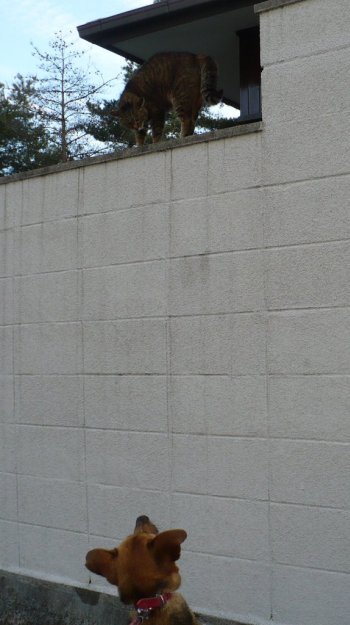 a0063364_22554986.jpg